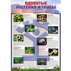 Ядовитые растения и грибы России - фото - 1