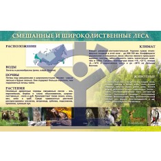 Комплект плакатов «Природные зоны России» - фото - 10