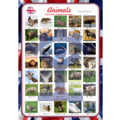 Плакат «Мир животных» - фото - 1