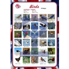 Плакат «Птицы» - фото - 1