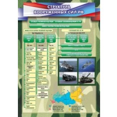 Структура вооруженных сил РФ - фото - 1