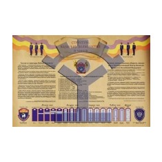 Плакат «Структура казачьих должностей и чинов» - фото - 1