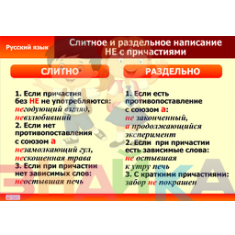 Таблицы демонстрационные "Русский язык 7 кл." - фото - 7