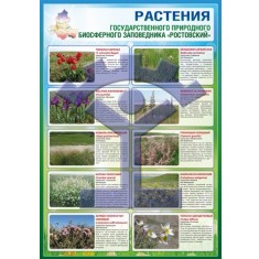 Ростовский биосферный заповедник - фото - 2